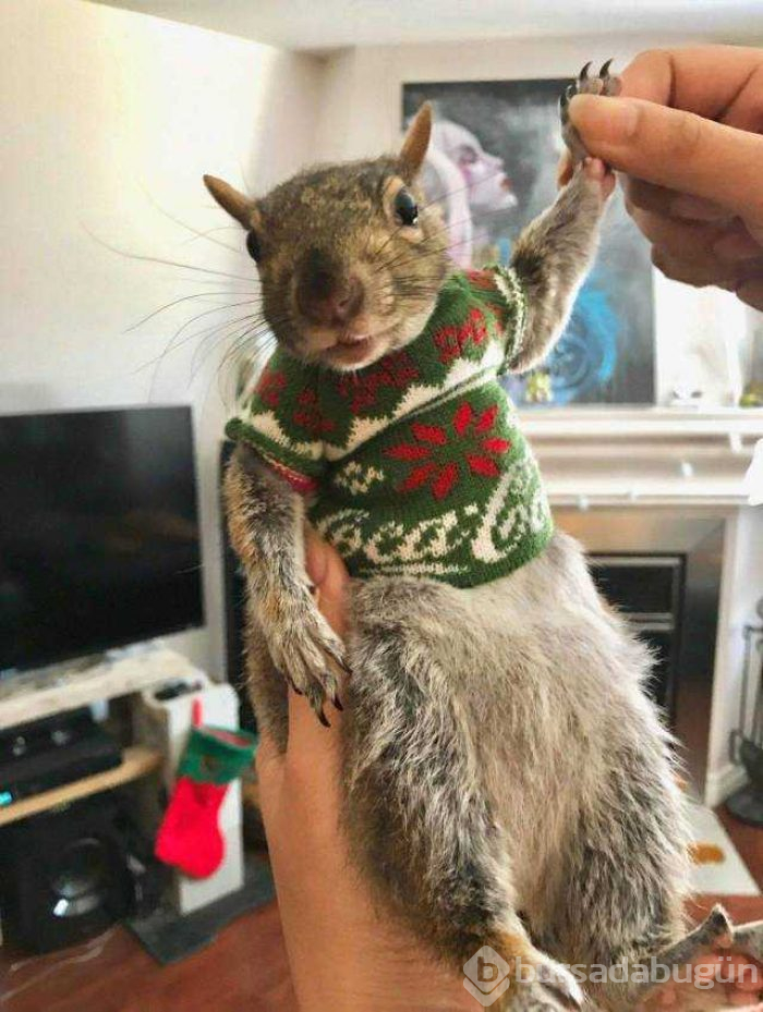 Günün en çok paylaşılan fotoğrafları (28.12.2018)