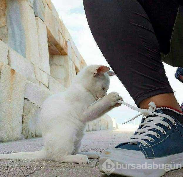 Günün en çok paylaşılan fotoğrafları (28.12.2018)