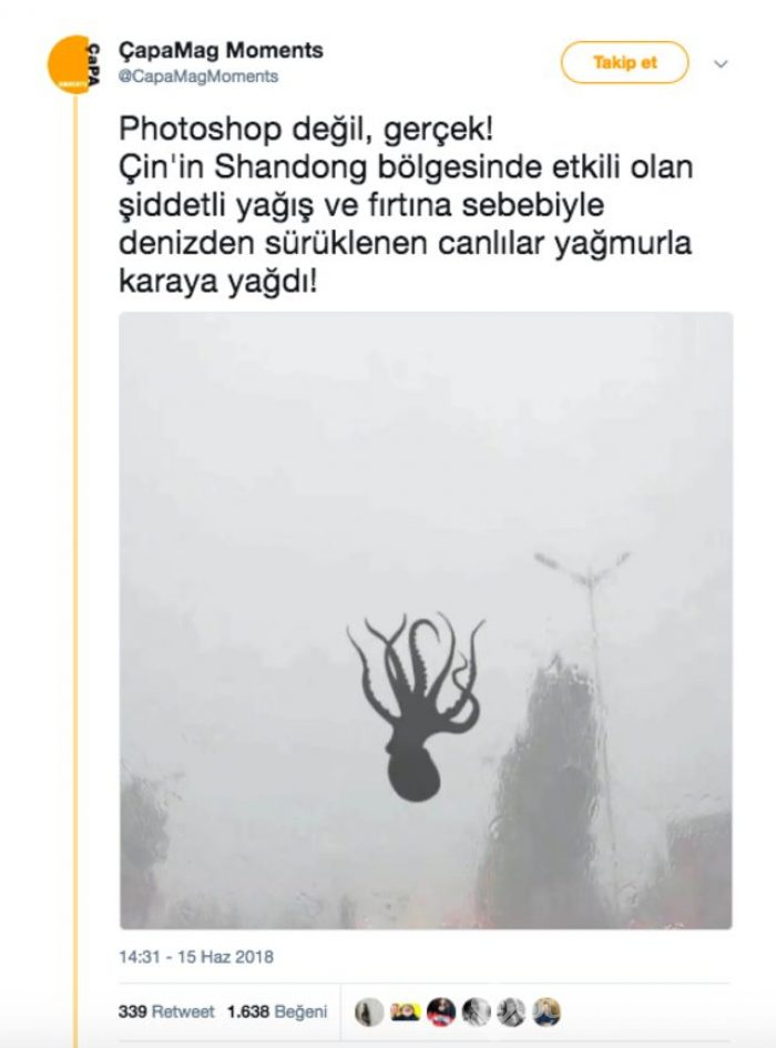 Herkes bunlara inandı! 2018'den 5 absürt haber
