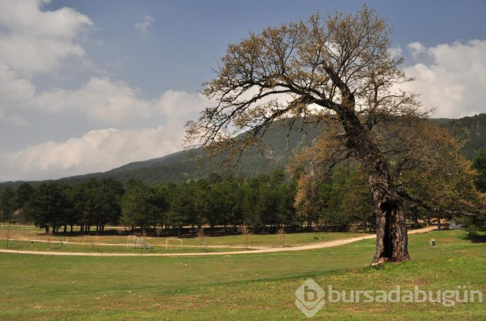 İşte turizm cenneti Bursa'nın eşsiz güzellikleri