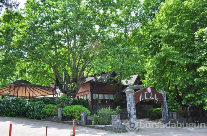 İşte turizm cenneti Bursa'nın eşsiz güzellikleri