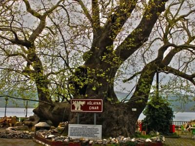 İşte turizm cenneti Bursa'nın eşsiz güzellikleri