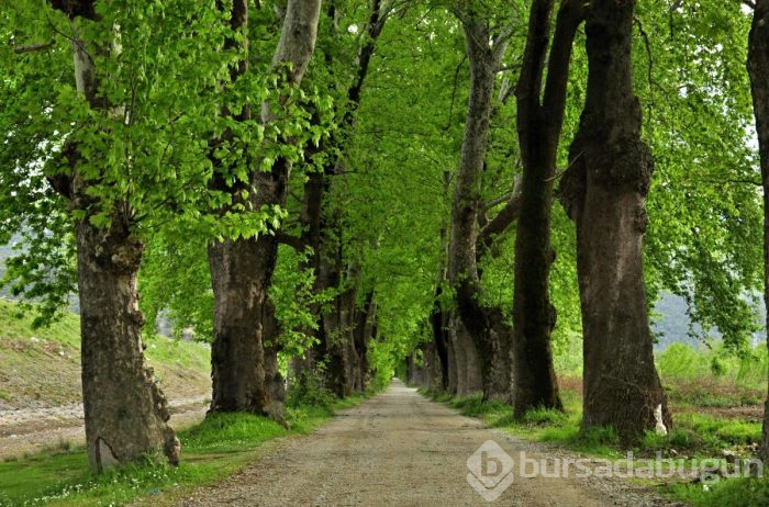 İşte turizm cenneti Bursa'nın eşsiz güzellikleri