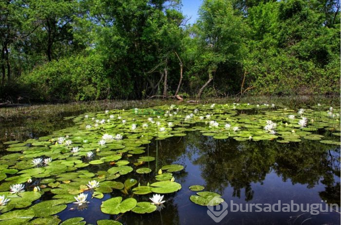 İşte turizm cenneti Bursa'nın eşsiz güzellikleri