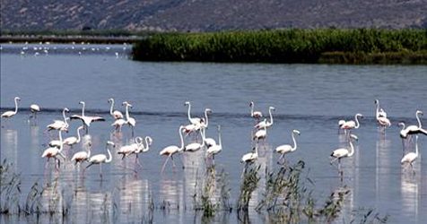İşte turizm cenneti Bursa'nın eşsiz güzellikleri