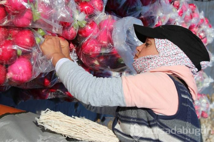 Salataların lezzeti turpta hasat zamanı... Sofraya gelmeden önce böyle hazırlanıyorlar
