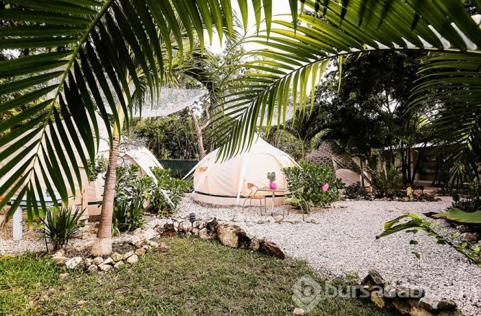 Tarih ve turkuazın buluştuğu antik Maya şehri: Tulum (Kış ortasında yaz tatili)