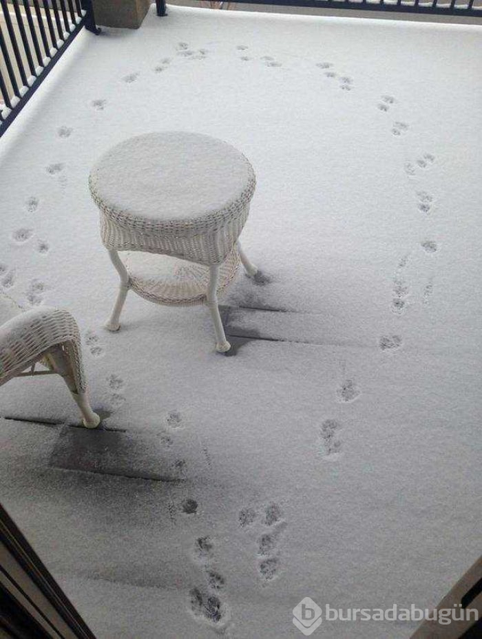 Günün en çok paylaşılan fotoğrafları (03.01.2019)