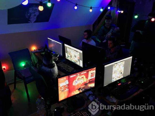 Günün en çok paylaşılan fotoğrafları (03.01.2019)