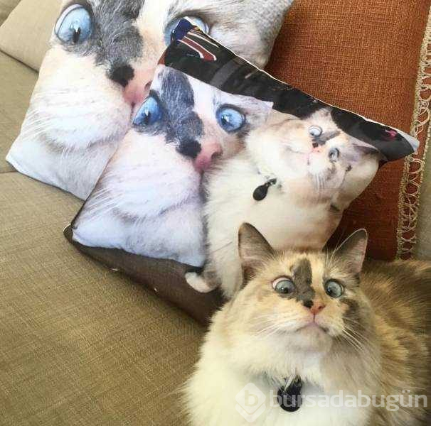 Günün en çok paylaşılan fotoğrafları (03.01.2019)