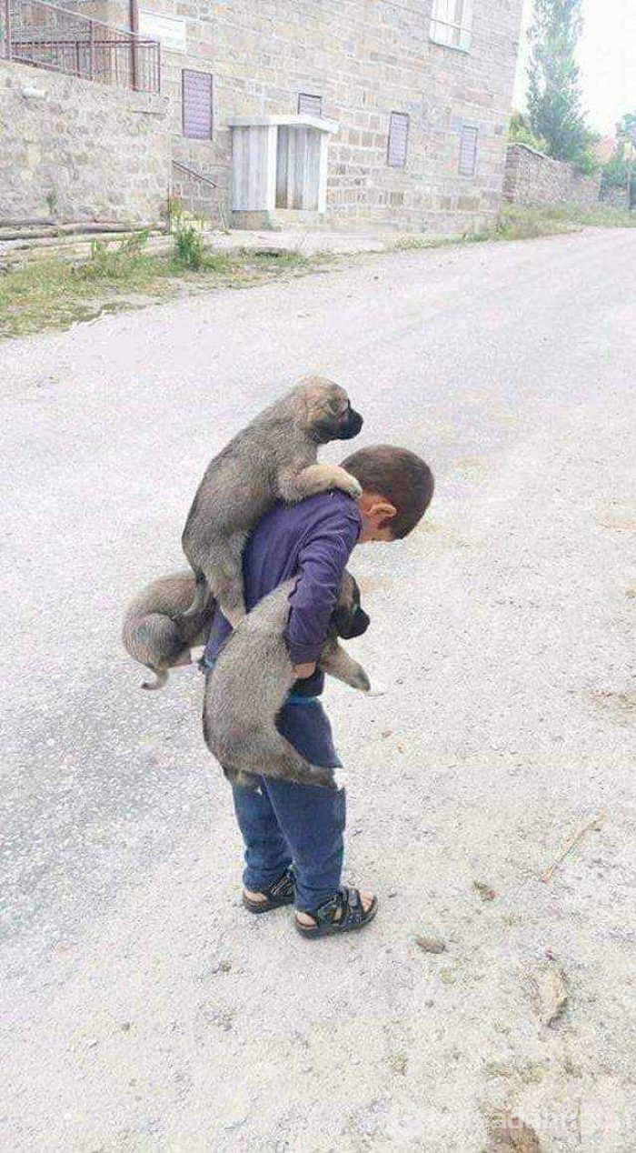 Günün en çok paylaşılan fotoğrafları (03.01.2019)