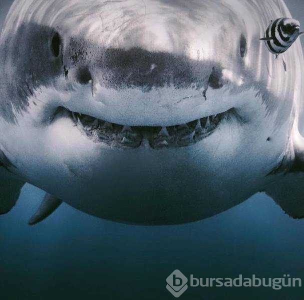 Günün en çok paylaşılan fotoğrafları (03.01.2019)