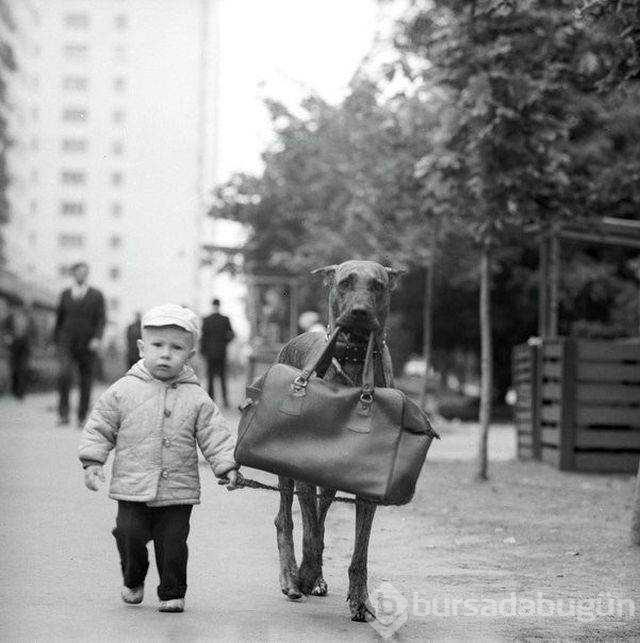 Günün en çok paylaşılan fotoğrafları (03.01.2019)