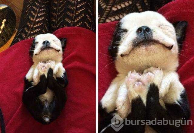 Günün en çok paylaşılan fotoğrafları (03.01.2019)