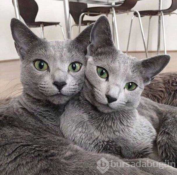 Günün en çok paylaşılan fotoğrafları (03.01.2019)