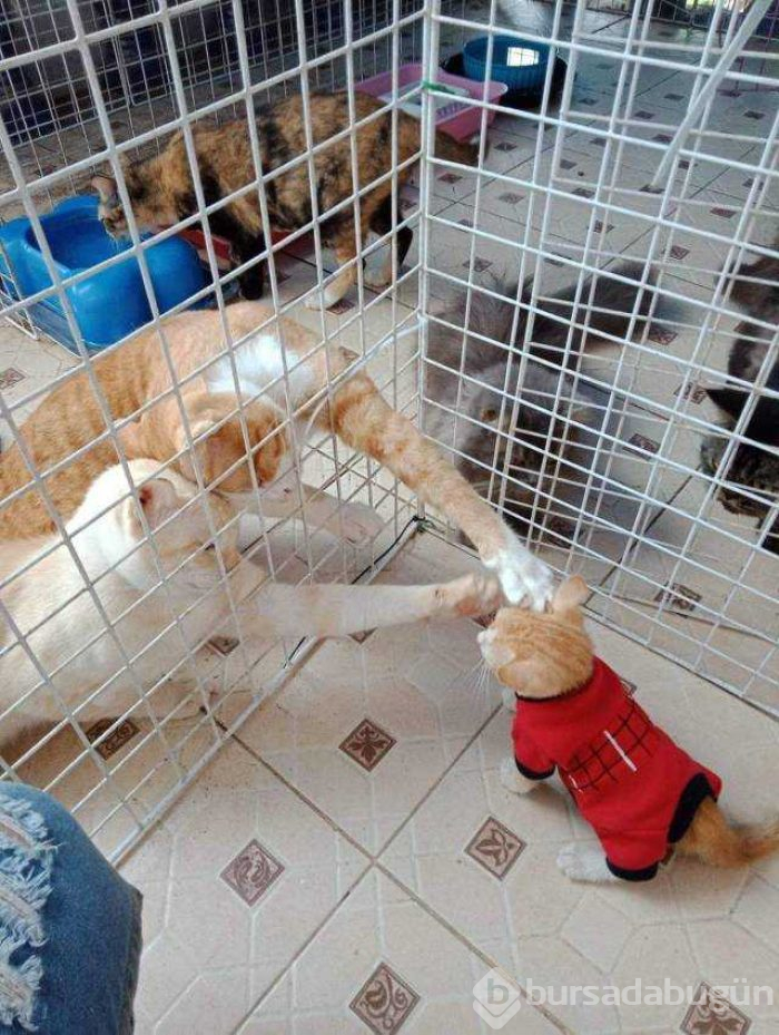 Günün en çok paylaşılan fotoğrafları (03.01.2019)