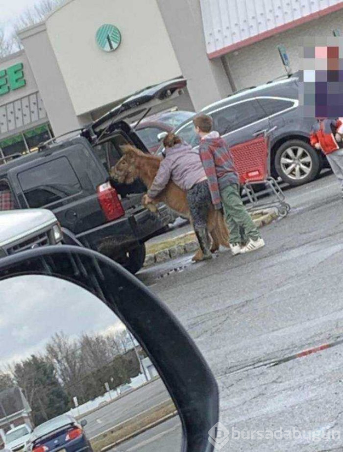 Günün en çok paylaşılan fotoğrafları (03.01.2019)