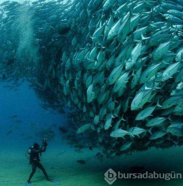 Günün en çok paylaşılan fotoğrafları (03.01.2019)