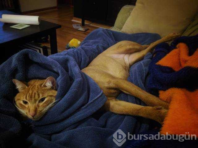 Günün en çok paylaşılan fotoğrafları (03.01.2019)