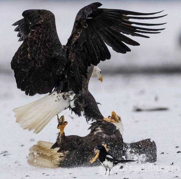 Günün en çok paylaşılan fotoğrafları (03.01.2019)