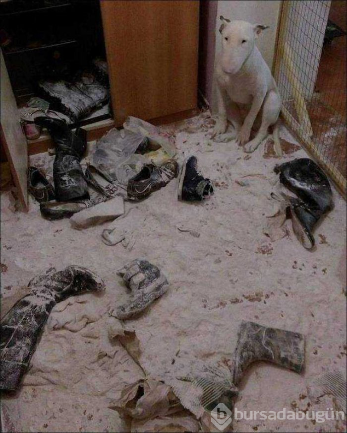 Günün en çok paylaşılan fotoğrafları (03.01.2019)