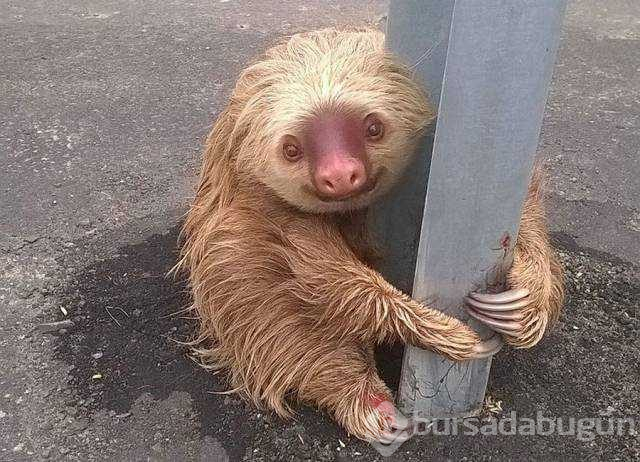 Günün en çok paylaşılan fotoğrafları (03.01.2019)