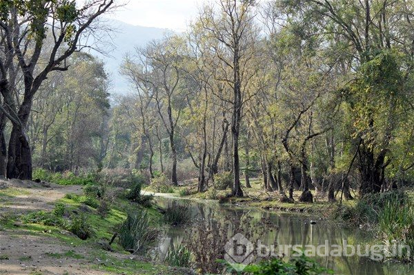 `Recep İvedik` turizmi