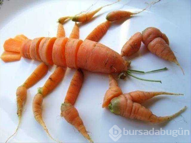 Günün en çok paylaşılan fotoğrafları (04.01.2019)