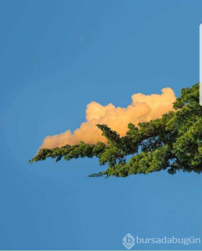 Günün en çok paylaşılan fotoğrafları (04.01.2019)