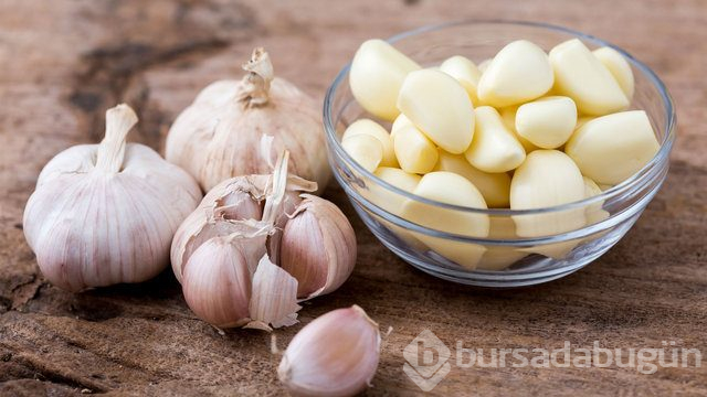  Doğal antibiyotikler nelerdir? 