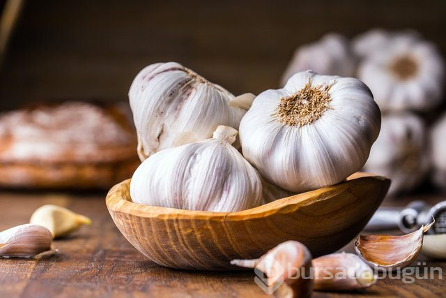  Doğal antibiyotikler nelerdir? 