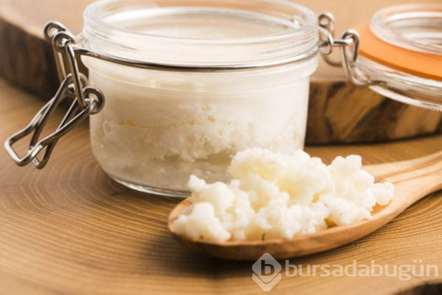  Doğal antibiyotikler nelerdir? 