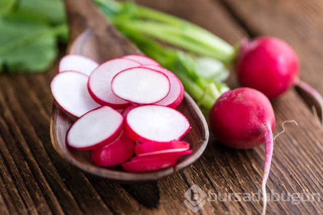  Doğal antibiyotikler nelerdir? 