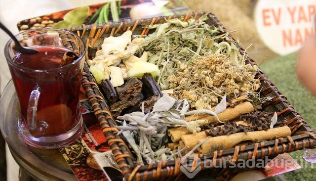  Doğal antibiyotikler nelerdir? 