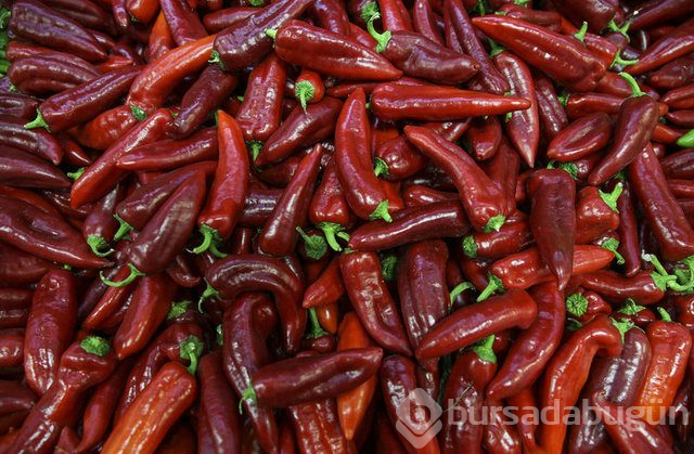  Doğal antibiyotikler nelerdir? 