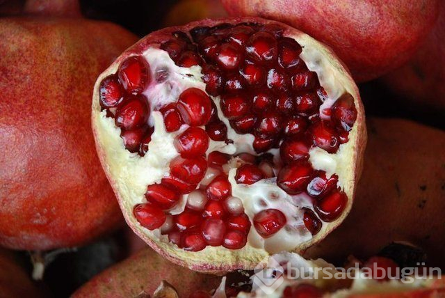  Doğal antibiyotikler nelerdir? 