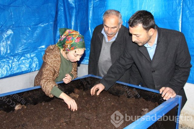 Tam 3 Milyon Tane! Ahırda Yetiştirdiği Solucanlar Ekmek Kapısı Oldu