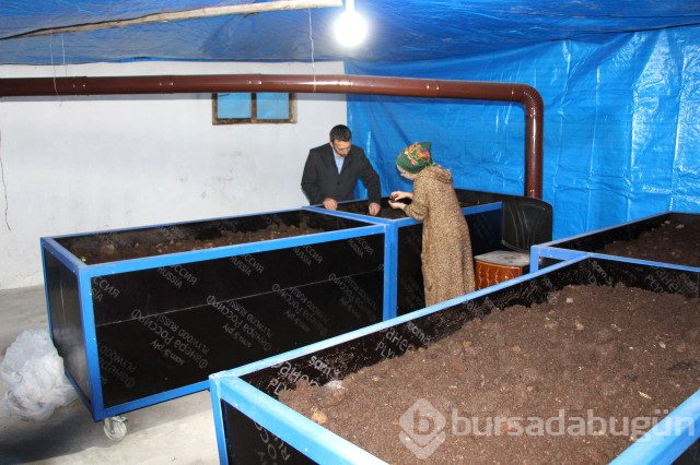 Tam 3 Milyon Tane! Ahırda Yetiştirdiği Solucanlar Ekmek Kapısı Oldu