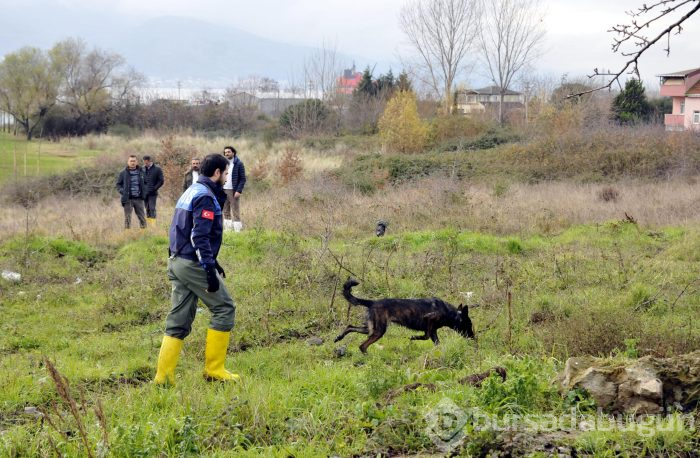 Bakanlık, Palu ailesi için devreye girdi