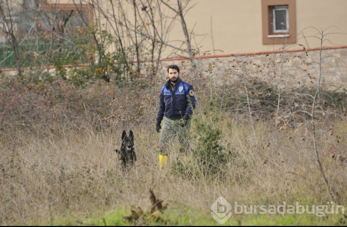 Bakanlık, Palu ailesi için devreye girdi