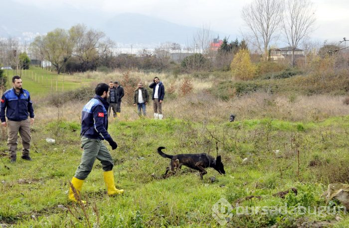 Bakanlık, Palu ailesi için devreye girdi