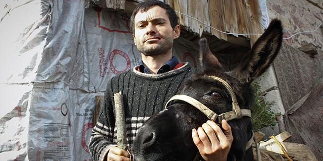 Eşeği yanağını parçaladı! Tek isteği estetik ameliyat olmak
