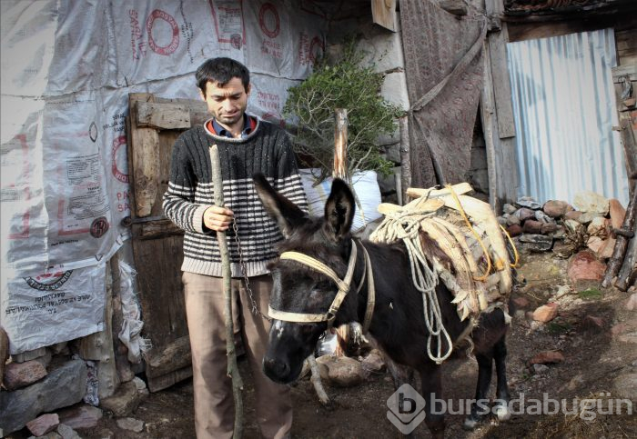 Eşeği yanağını parçaladı! Tek isteği estetik ameliyat olmak
