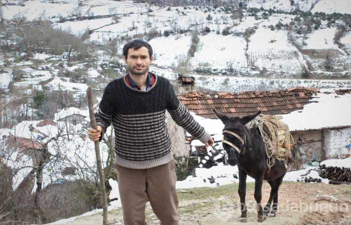 Eşeği yanağını parçaladı! Tek isteği estetik ameliyat olmak
