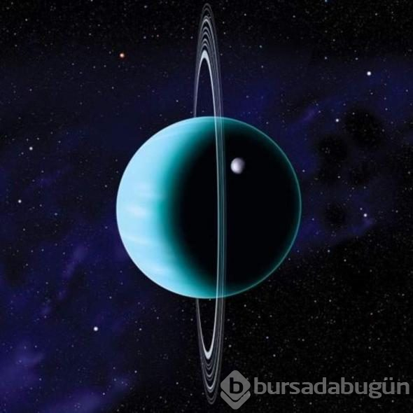 Maaşı dudak uçuklatan meslek: Herkesin rüyası...
