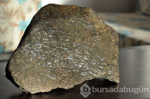 Dünya'da olmayan 6 element Didim'de bulundu!
