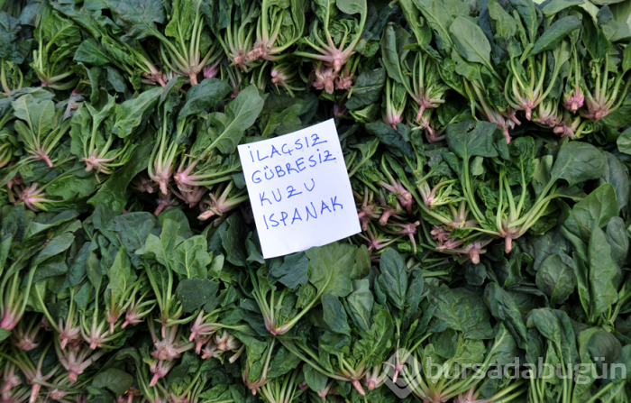 Yanlış tüketiyormuşuz! Ispanağı sakın pişirmeyin!