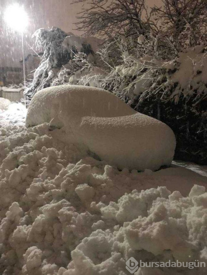 Günün en çok paylaşılan fotoğrafları (10.01.2019)