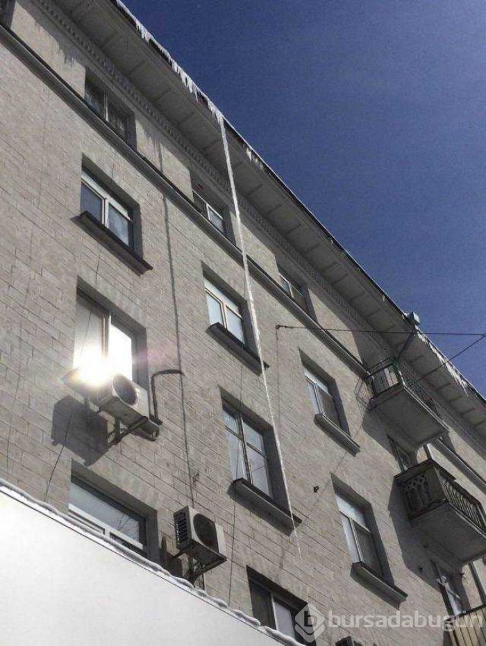 Günün en çok paylaşılan fotoğrafları (10.01.2019)