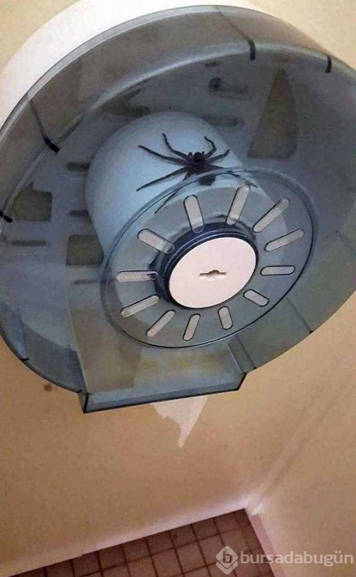 Günün en çok paylaşılan fotoğrafları (10.01.2019)